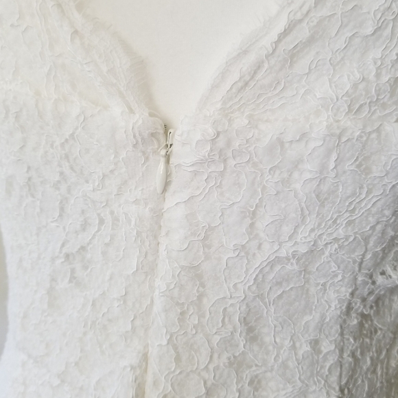 Adrianna Papell Lace V-Neck Wedding Gown Down - Picture 8 of 8